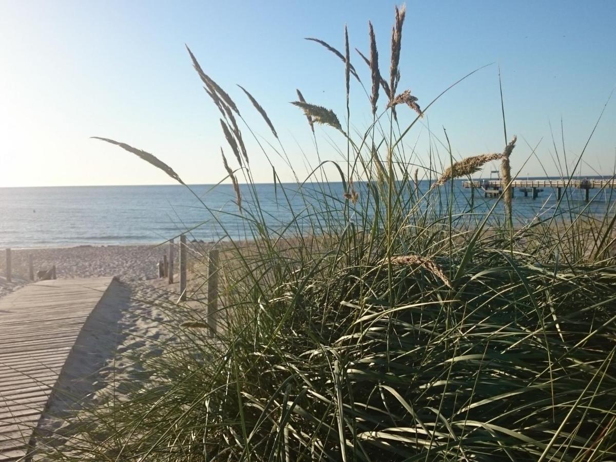 Apartment In Rerik Near The Baltic Sea Beach Eksteriør billede